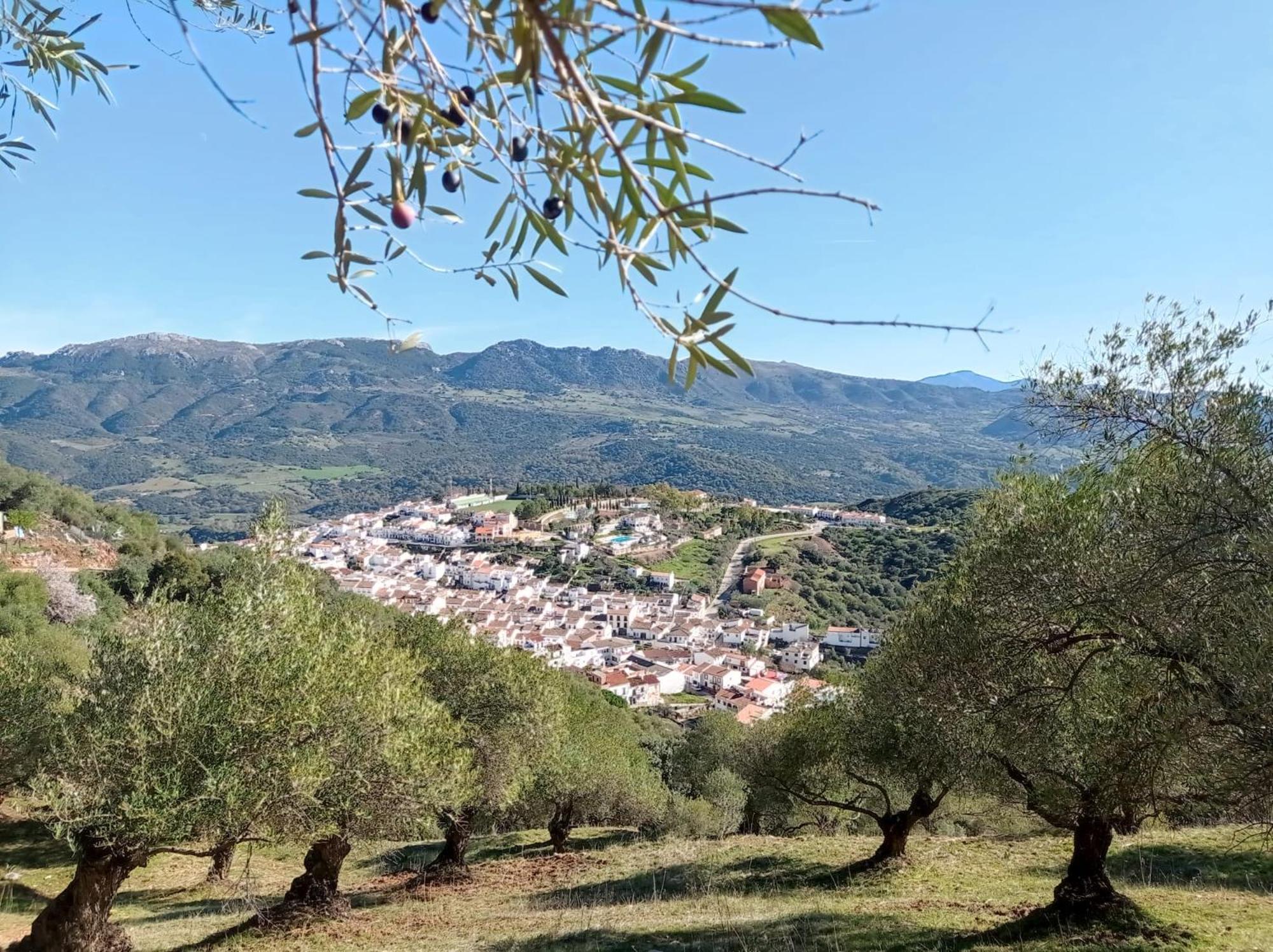 Apartamento Valle Del Guadiaro Cortes de la Frontera Eksteriør billede