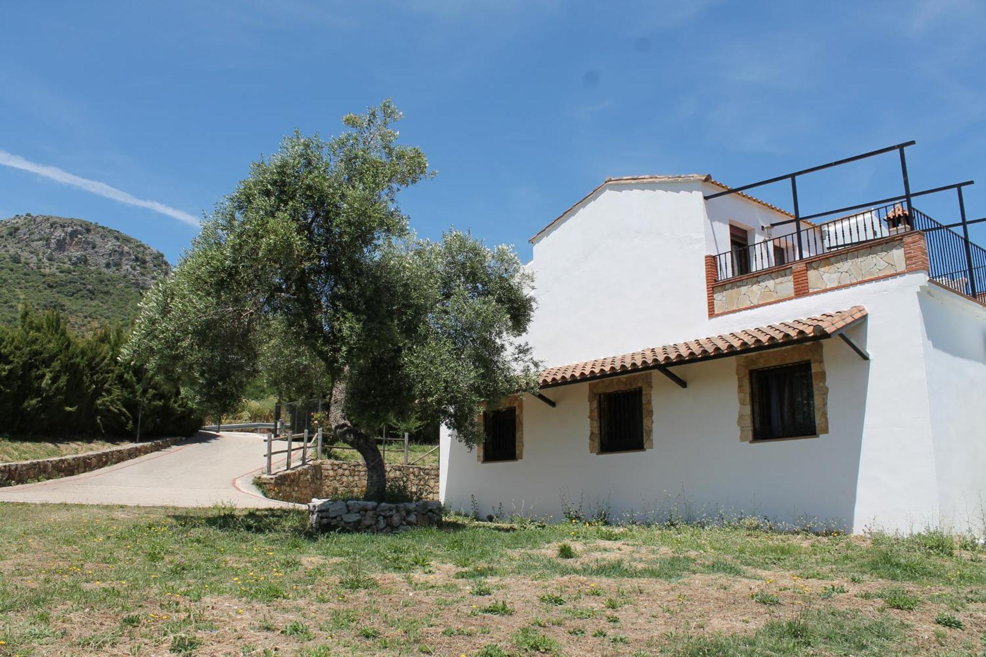 Apartamento Valle Del Guadiaro Cortes de la Frontera Eksteriør billede